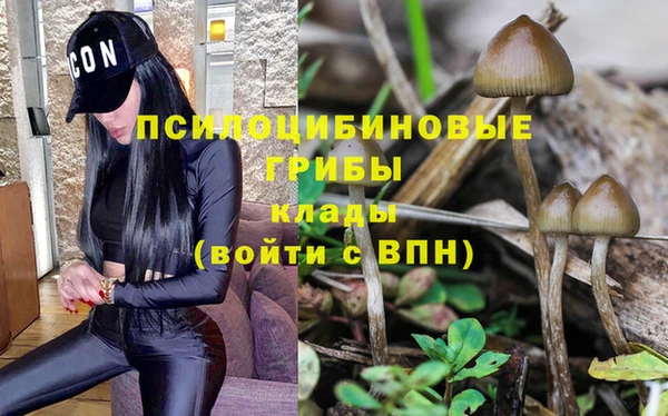 герыч Бронницы
