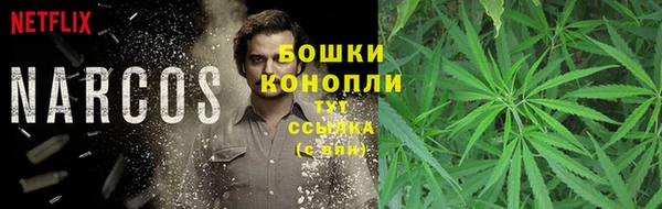 герыч Бронницы