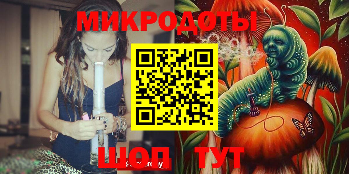 Выборг  Псилоцибиновые грибы Psilocybe  Псилоцибиновые грибы Psilocybe  Вход с VPN 